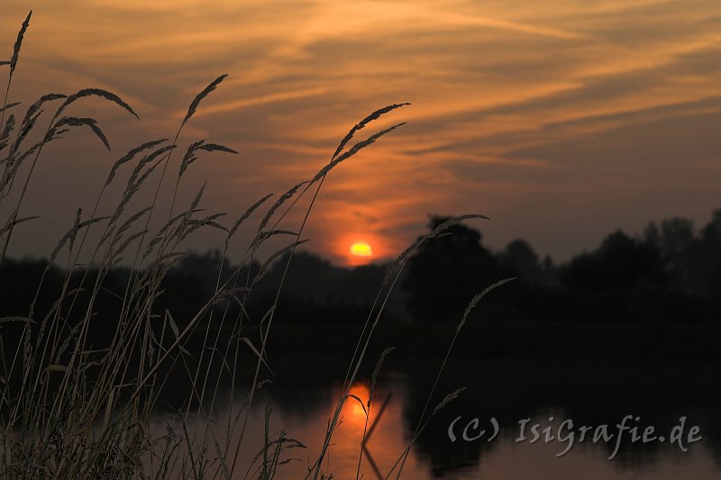 IMG_5487-01.jpg - Sonnenuntergang am Kiekut See