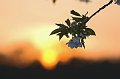 IMG_0871-01