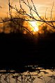 IMG_8819-01