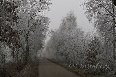 IMG_3149-01.jpg