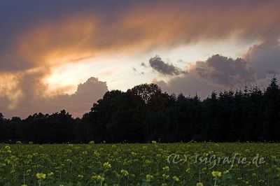 IMG_5576-01.jpg