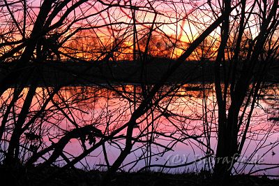 IMG_0503.jpg