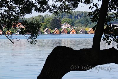 IMG_5660.jpg - Mirow