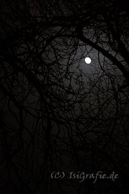 IMG_0755-01.jpg - Mond