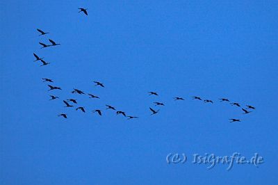 IMG_6011-01.jpg