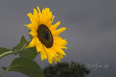 IMG_3272-01.jpg