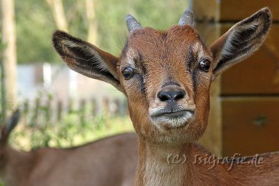 IMG_3758.JPG - Rosita