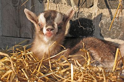 IMG_7340.JPG - Palu