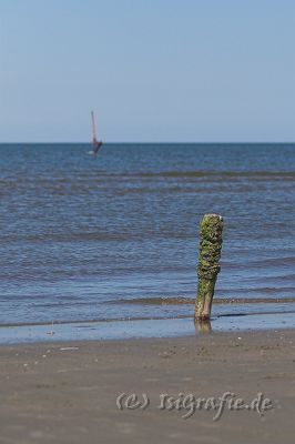 IMG_3353-01.jpg