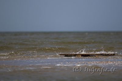 IMG_3442-01.jpg