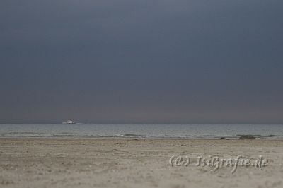 IMG_3534-01.jpg