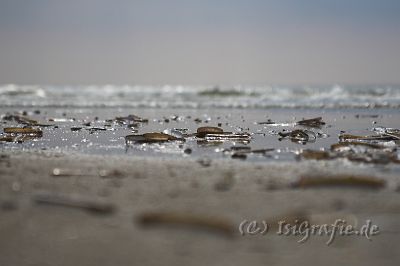 IMG_3676-01.jpg