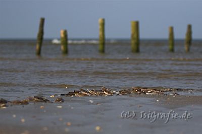 IMG_3813-01.jpg