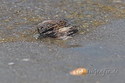 IMG_3827-01.jpg