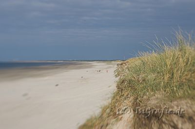 IMG_3885-01.jpg - Strand auf Skallingen