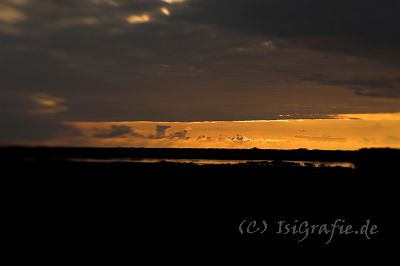 IMG_4233-01.jpg - Sonnenuntergang am Langsø am Rande der Kærgaard Plantage; aufgenommen mit Lensbaby