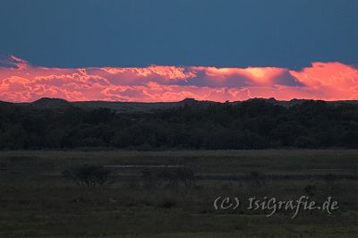 IMG_4417-01.jpg - Sonnenuntergang am Rande der Kærgaard Plantage