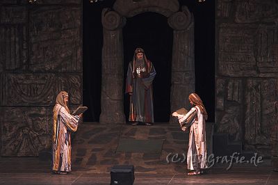 IMG_5466-01.jpg