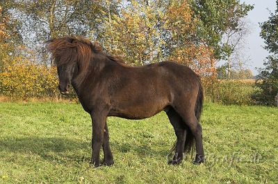 IMG_5441-01.jpg - Gleipnir
