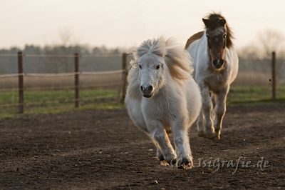 IMG_2515.jpg - Fani und Blikki