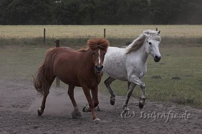IMG_3806-01.jpg - Klara und Haera