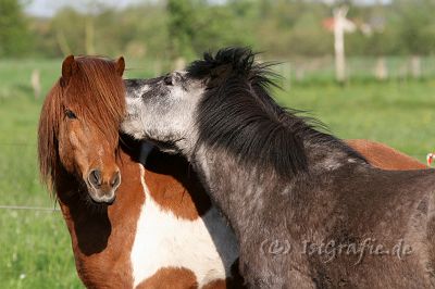IMG_1048.JPG - Toppur und Kalsi - Stille Post