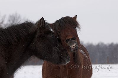 IMG_7513-01.jpg - Keilir und Hugur