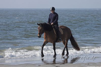 IMG_2408-01.jpg - Langeoog - Lütt'n Peerstall