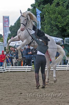IMG_3000.JPG - Verdiana 2004