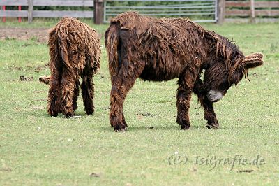 IMG_3578.JPG - Arche Warder