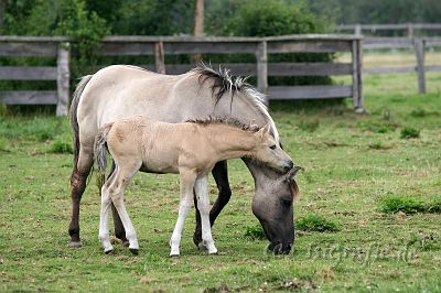 IMG_3616.JPG - Arche Warder