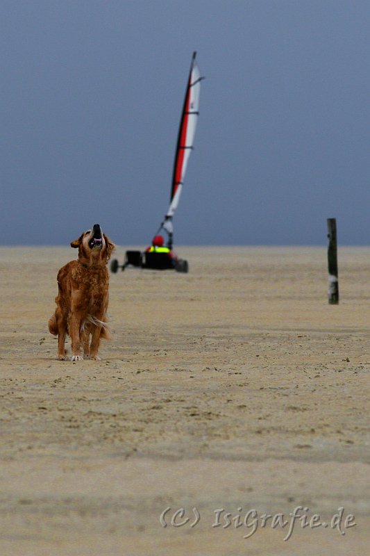 IMG_7978.JPG - Sønderstrand