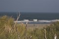 IMG_0913-01