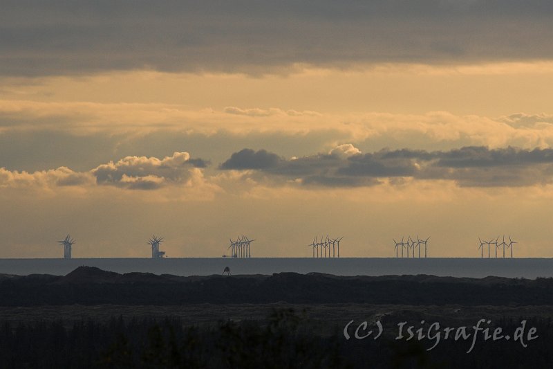 IMG_4151-01.jpg - Blick vom Blaabjerg auf die Horns Rev Offshore Windkraftanlage