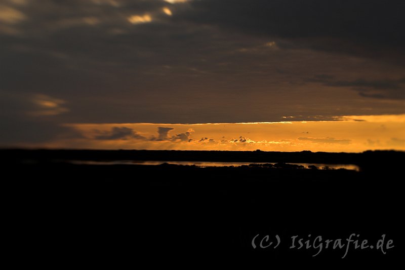 IMG_4233-01.jpg - Sonnenuntergang am Langsø am Rande der Kærgaard Plantage; aufgenommen mit Lensbaby