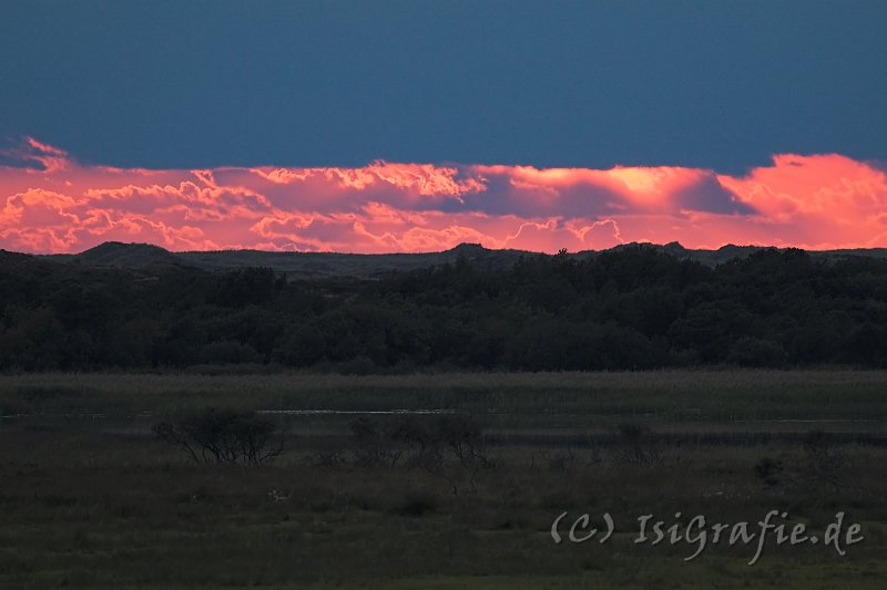 IMG_4417-01.jpg - Sonnenuntergang am Rande der Kærgaard Plantage