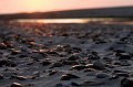 IMG_4009-01
