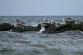 IMG_4553-01