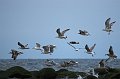 IMG_4557-01