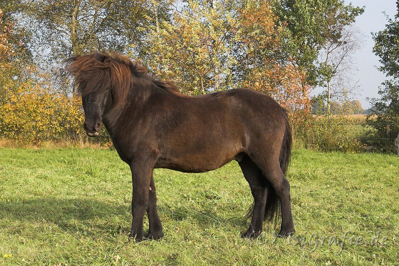 IMG_5441-01.jpg - Gleipnir