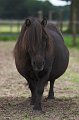 IMG_9451-01