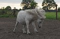 IMG_9480-01