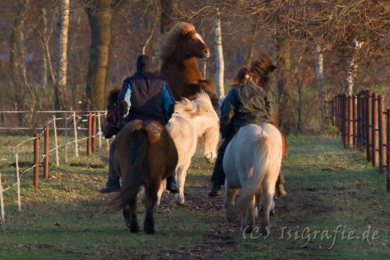 IMG_2779-01.jpg - Bloß nicht stören lassen ...