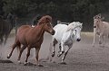 IMG_3694-01