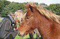 IMG_0588