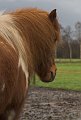 IMG_1322-01