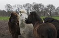 IMG_1402-01
