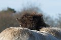 IMG_1783-01