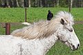IMG_2722-01