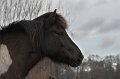 IMG_1237-02